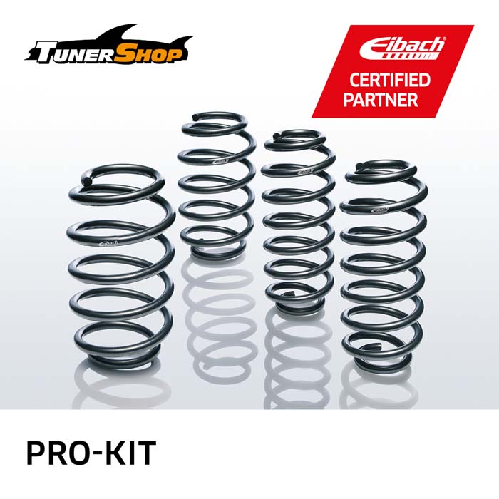 Eibach Springs E10-20-040-03-22 for BMW X3, X4